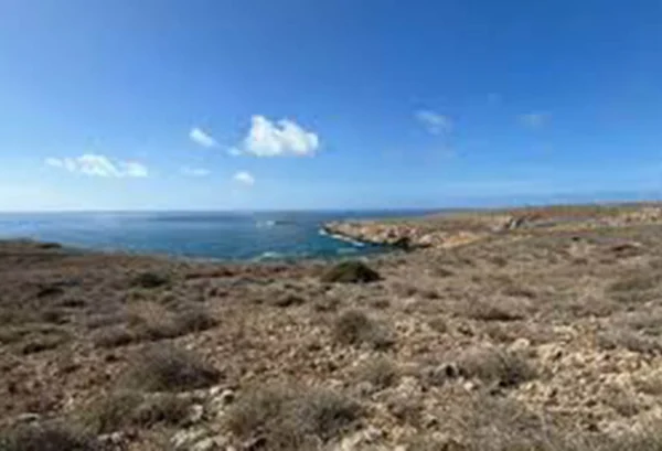 Un comitato spontaneo per tutelare l’integrità naturalistica del litorale di contrada Stornello
