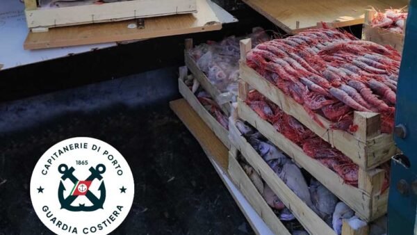 Sequestrata una tonnellata di pesce non tracciato