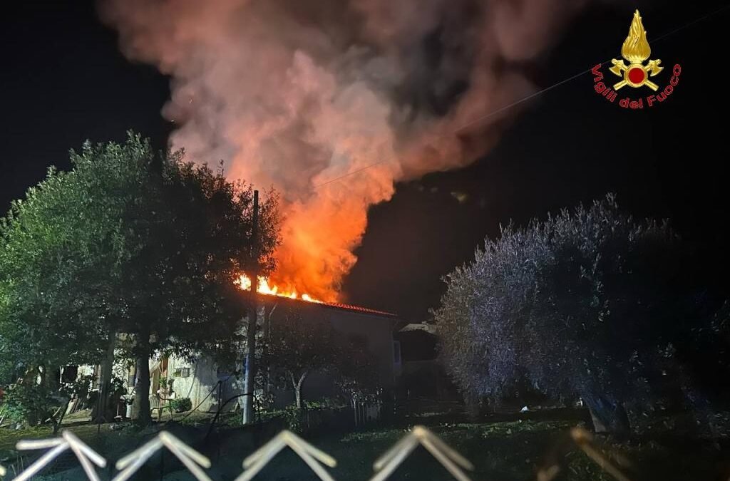 Immagine WhatsApp 2024 11 23 ore 09.17.18 93325321