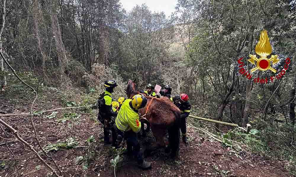 WhatsAppImage2024 12 07at18.04.52