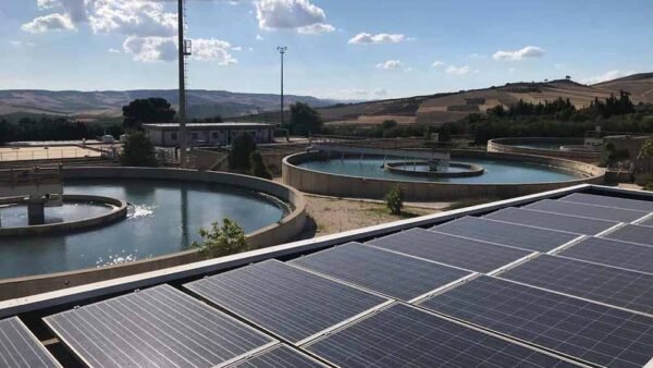 Vicenda salmonella: rimangono in vigore le ordinanze dei sindaci