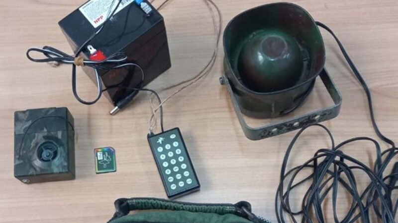 Posizionano richiami acustici per volatili in tre denunciati