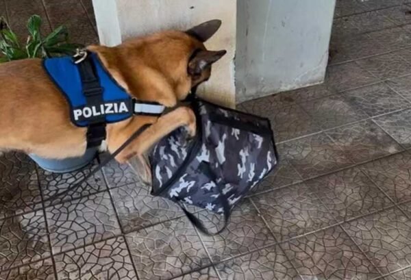 Armi e droga in garage, arrestato dalla polizia di Catania un 26enne