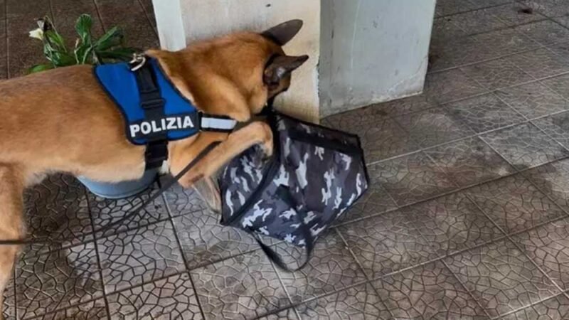 Armi e droga in garage, arrestato dalla polizia di Catania un 26enne