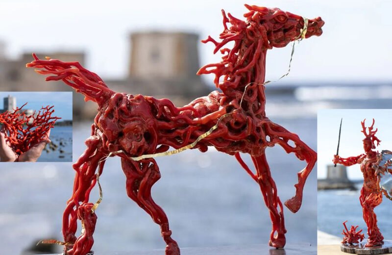 Il Corallo Rosso di Trapani: Tesoro del Mare