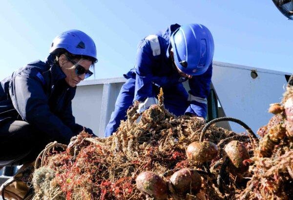 Sequestrati 4 quintali di pesce dalla Guardia Costiera di Trapani