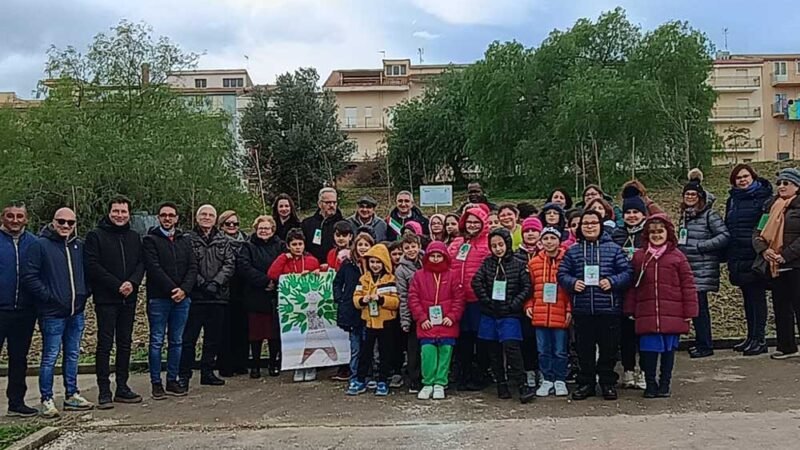 Calatafimi. Piantumati nel centro urbano di Sasi 80 alberi di roverella