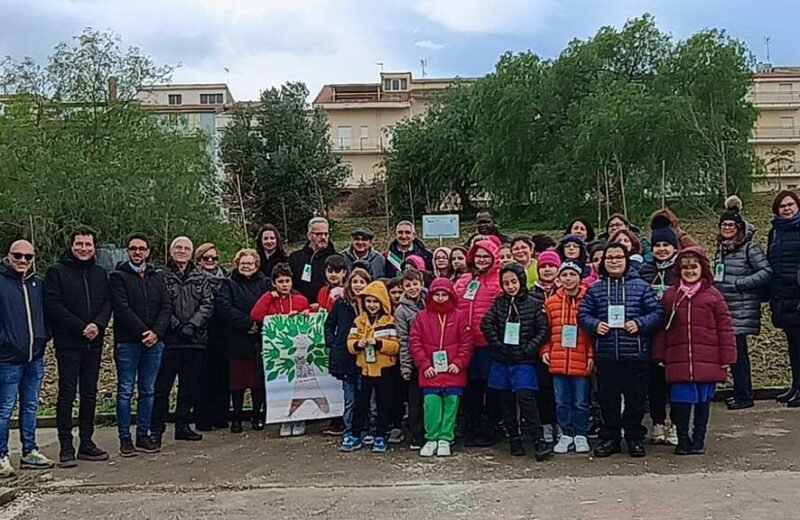 Calatafimi. Piantumati nel centro urbano di Sasi 80 alberi di roverella