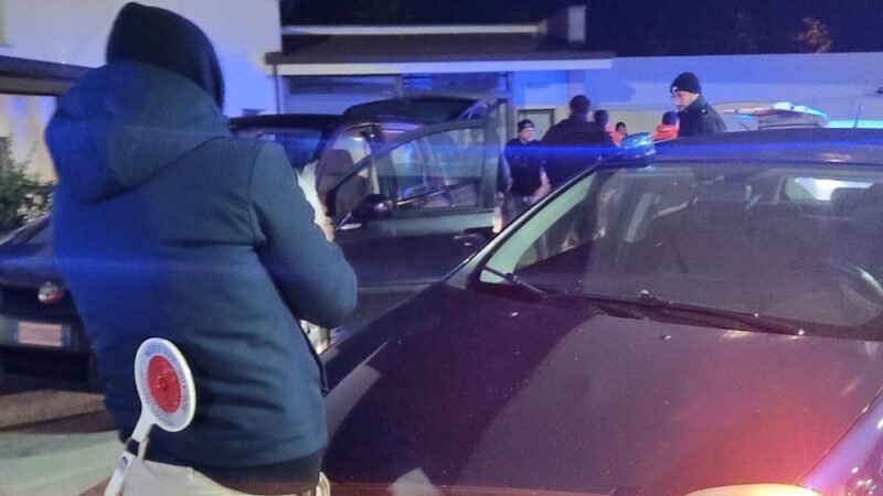 Cinque pescatori denunciati, sequestrata mezza tonnellata di oloturie