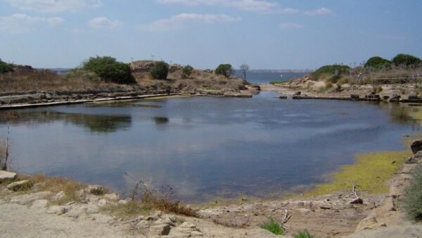 Alla Scoperta di un Misterioso Santuario Fenicio: Dove si Trova il Kothon?