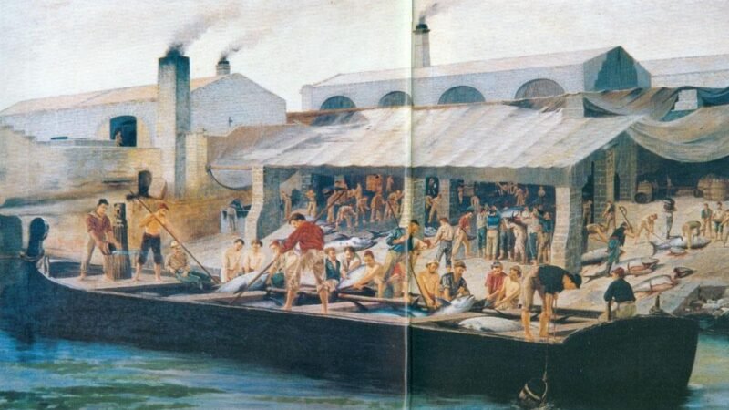 Le Tonnare Dimenticate