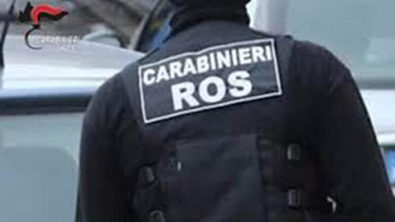 Operazione DIA – ROS. Inchiesta contro la ‘ndragheta da Bolzano a Caltanissetta