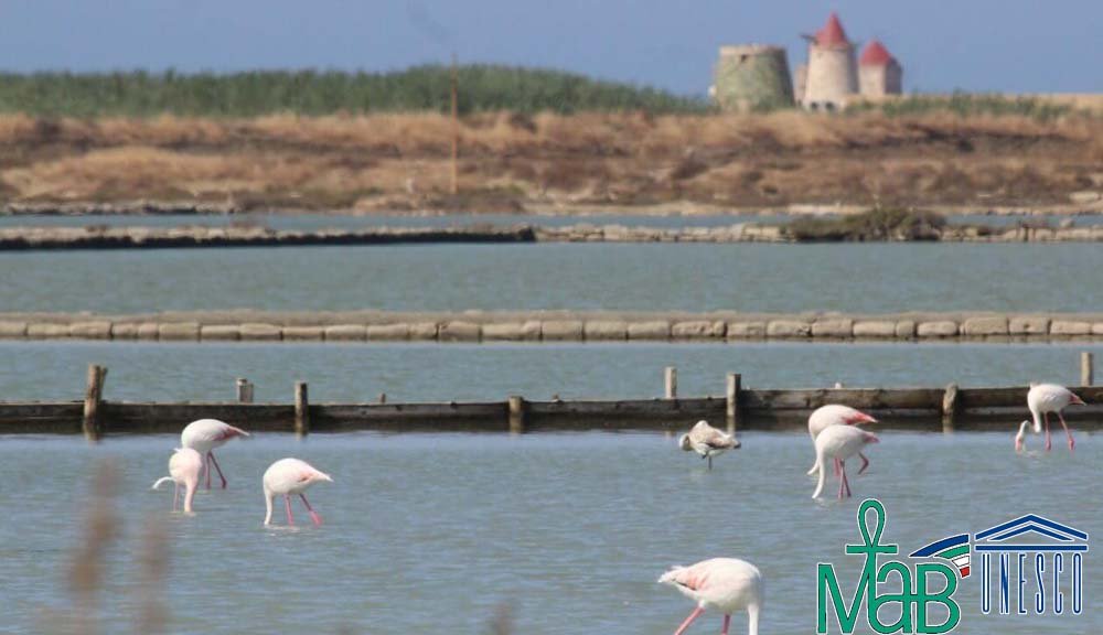 SALINE TRAPANI UNESCO