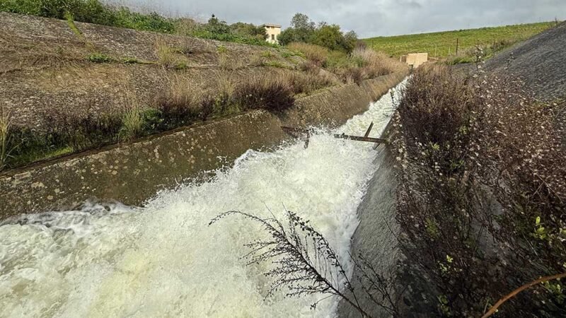 Diga Trinità, arriva un consulente da Roma per evitare la chiusura