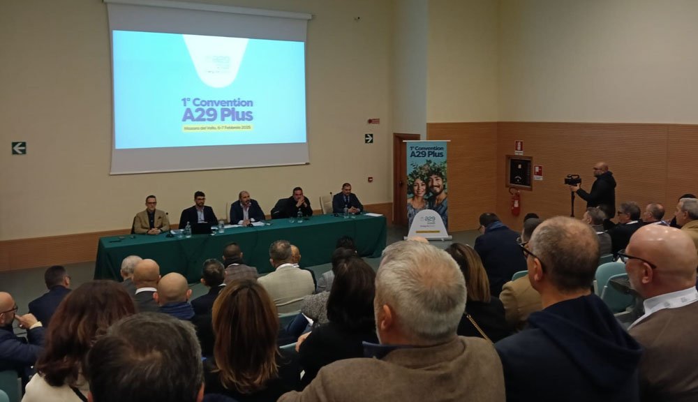 Convegno A29