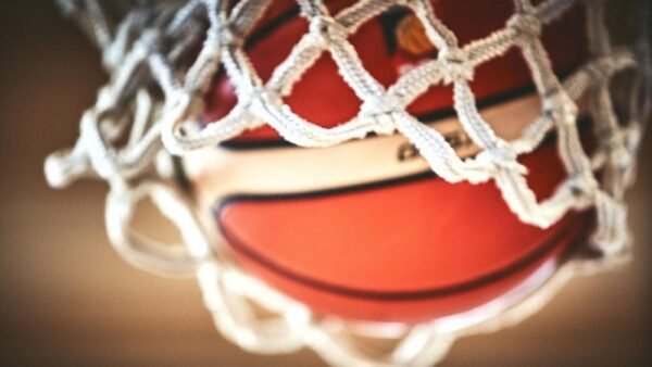 Trapani Sharks: il gioiello del basket siciliano