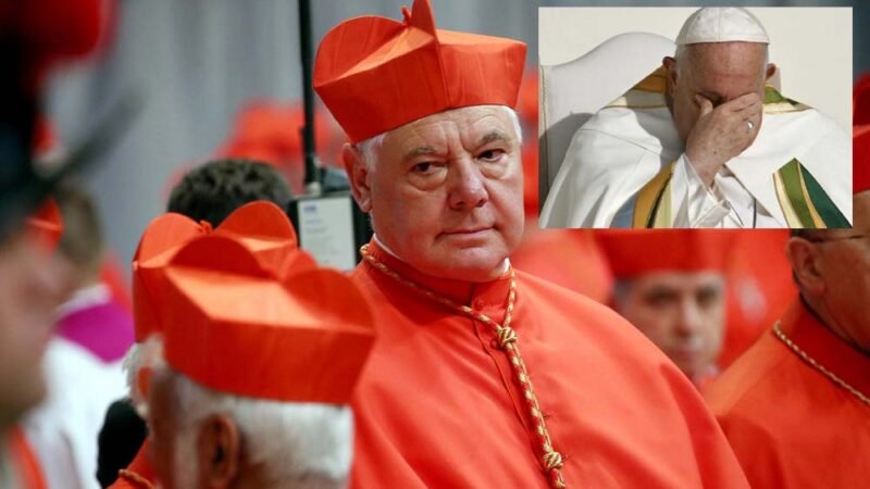 Papa Francesco: Müller: “Non è il momento di pensare al successore”