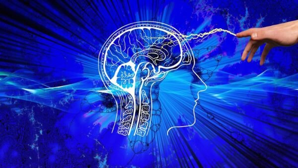 Psicologia delle ricompense nel gioco