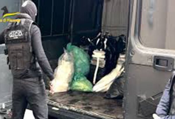 Distrutta mezza tonnellata di cocaina sequestrata a settembre dalla Finanza