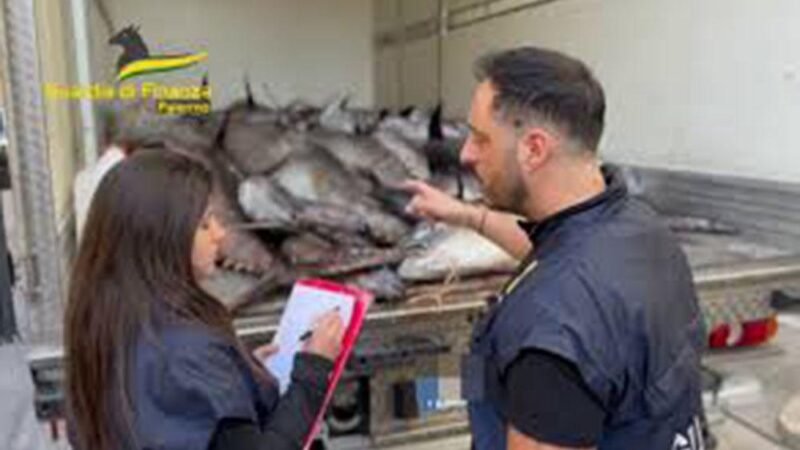 Sequestrati 809 chili di pesce non tracciato: multa da 26mila euro