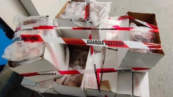 Maxi sequestro di gamberi a pescherecchio mazarese