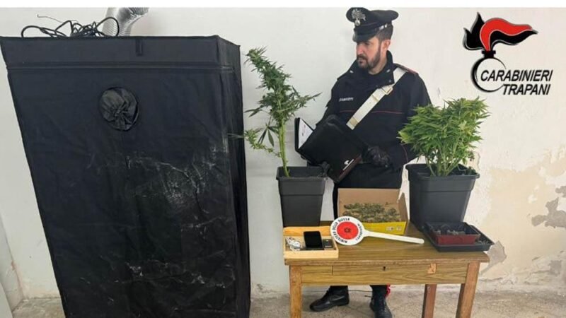 Coltivava in casa la marijuana, un arresto a Erice