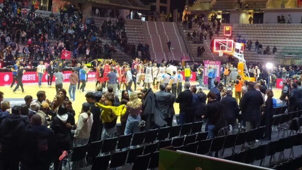 Basket. Idea Pozzecco per la Trapani Shark se le strade con Repesa si dividono, la risposta della società