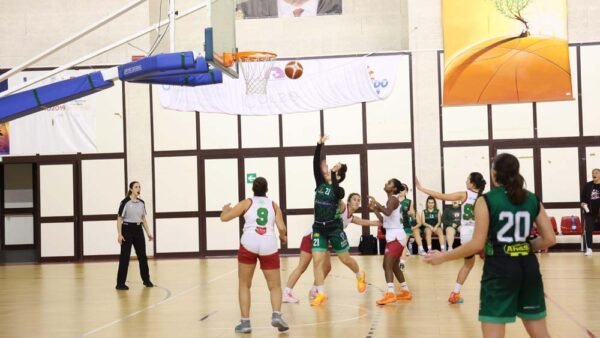 102 Basket Erice trionfa in trasferta contro Stella Basket Palermo