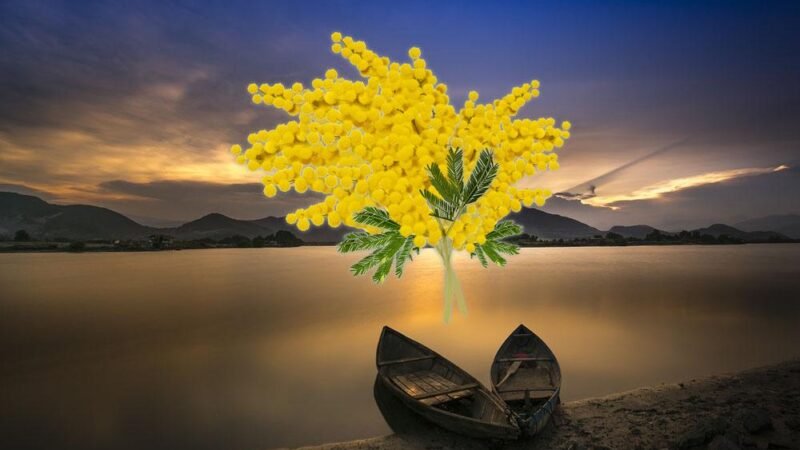 TrapaniOggi Celebra il Ruolo della Donna con un Logo Speciale