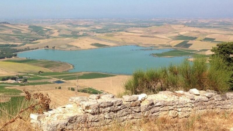 Coldiretti. Agricoltori trapanesi senza acqua vanno indennizzati