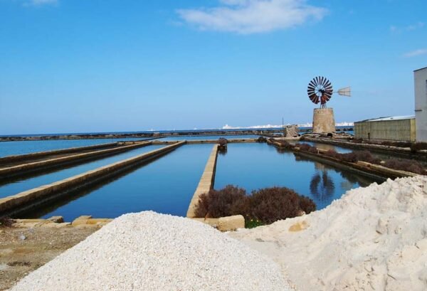 Donne di Trapani: Storie di Forza e Coraggio