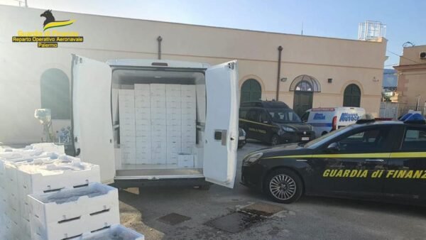 La finanza sequestra oltre 3 quintali di novellame di pesce