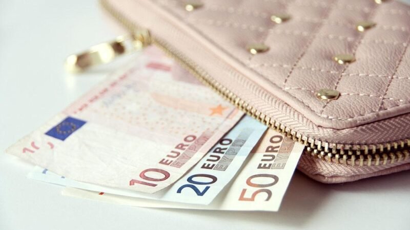 Svezia e Norvegia riscoprono il contante