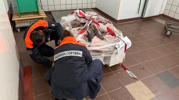 La Capitaneria di Mazara sequestra oltre 750 kg di  prodotti ittici irregolari