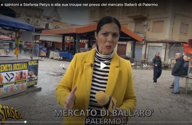 petix mecato ballaro