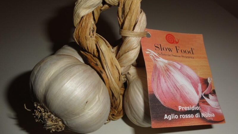 Perché scegliere l’aglio rosso di Nubia?
