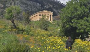 Segesta primavera