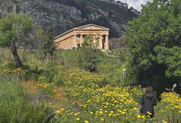 Segesta primavera