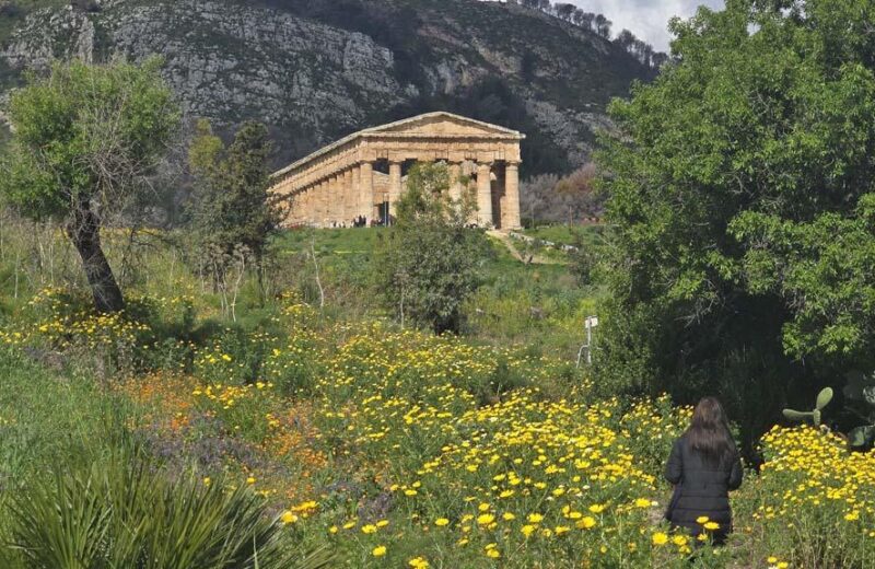 Segesta primavera