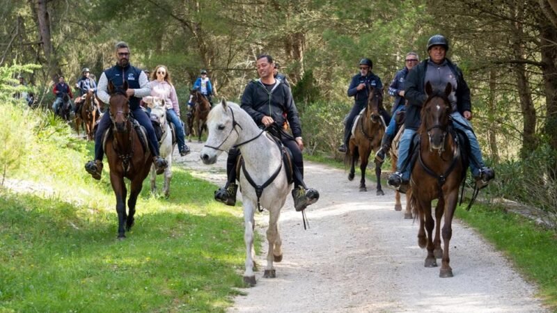 Cavalcata solidale a Castellammare per la ricerca [Video]