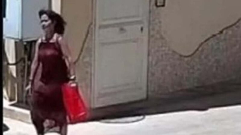 Arresto Floriana Calcagno. Quella Panda Verde posteggiata a casa Calcagno e la parentela con Franco Luppino