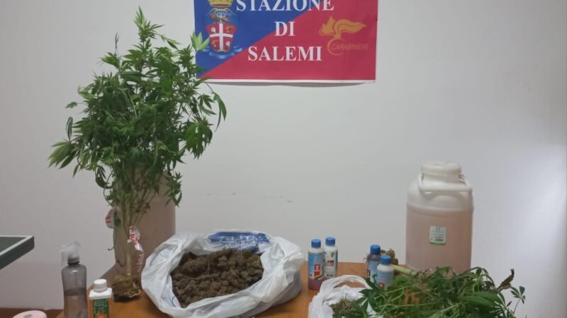 Aveva in casa quasi 3 chili di marijuana, in manette un uomo di Vita