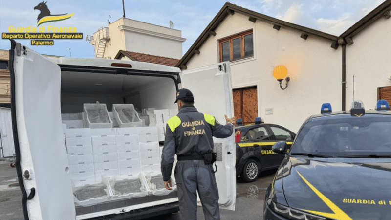 Sequestrate 2 tonnellate di novellame di sarda, dai finanzieri di Bagheria