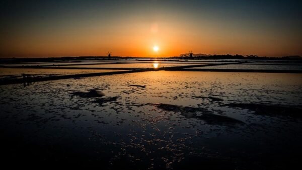 Il Rosso Ferrari conquista Marsala