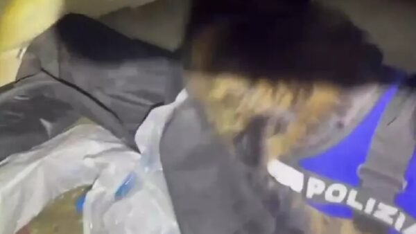 Catania. Nel garage dello zio della fidanzata nascondeva 3 chili e mezzo di droga