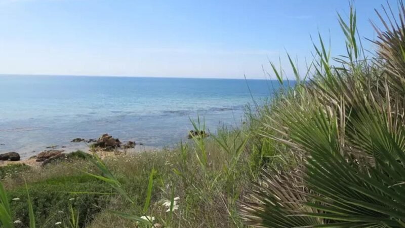 Consulta conferma divieto costruzioni entro 150 metri da mare. Legambiente Sicilia, grande vittoria ora demolire