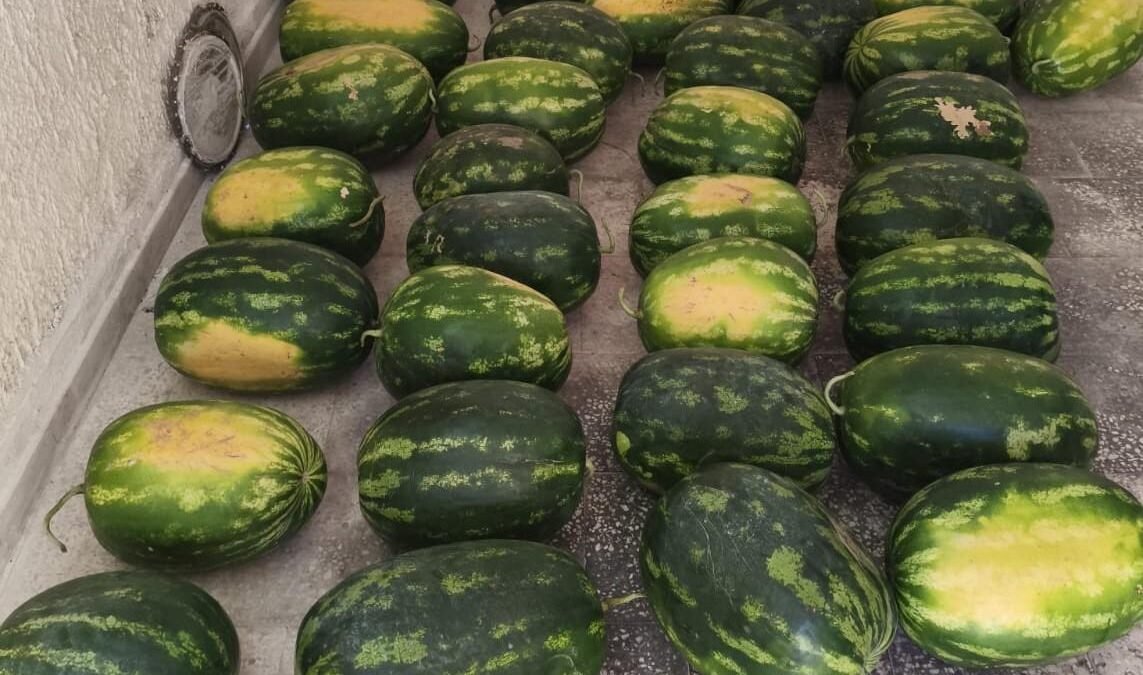 angurie sequestrate 2