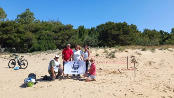 Primo nido di Caretta caretta 2025 a Sampieri