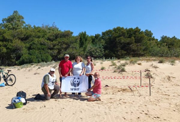 Primo nido di Caretta caretta 2025 a Sampieri