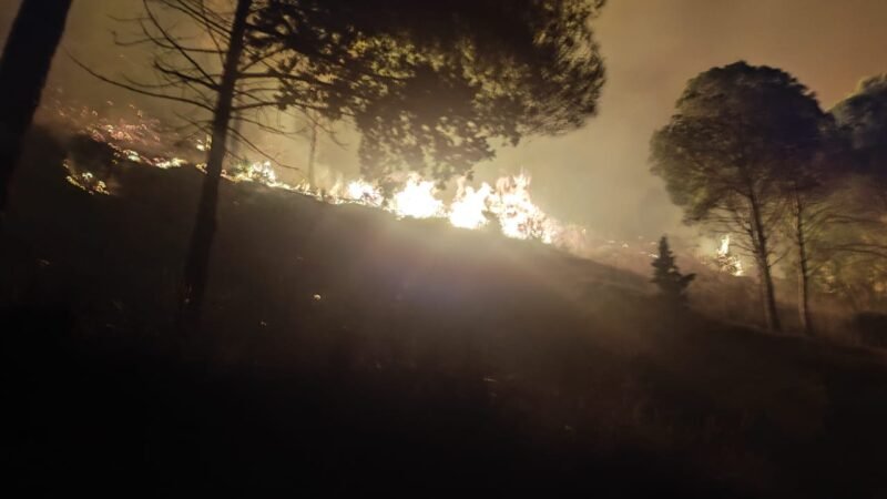 Al via dal 15 Maggio in Sicilia la campagna antincendio